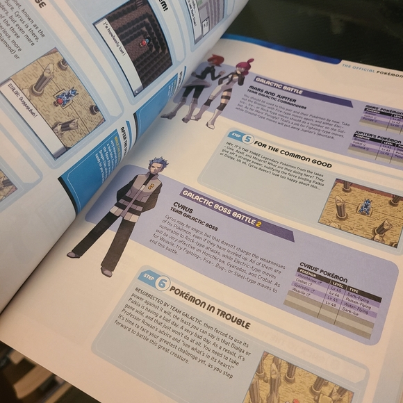 Pokemon Diamond & Pearl Strategy Guide - Picture 10 of 10